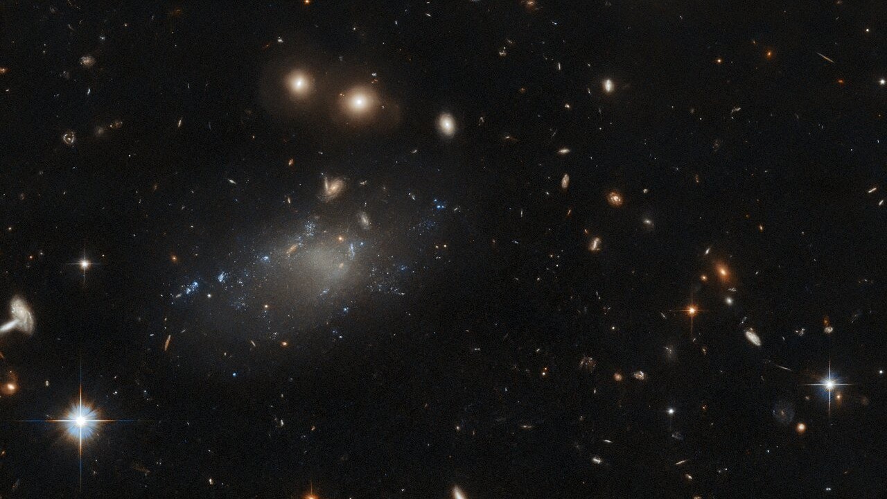 Hubble Space Telescope studies peculiar 'ultra-diffuse galaxy' (photo)