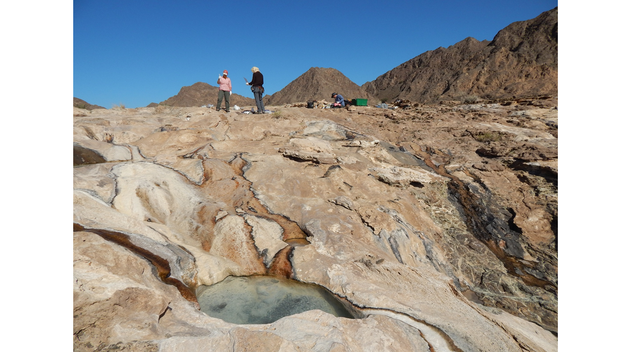 Microbes on Earth's seafloor may aid the search for alien life