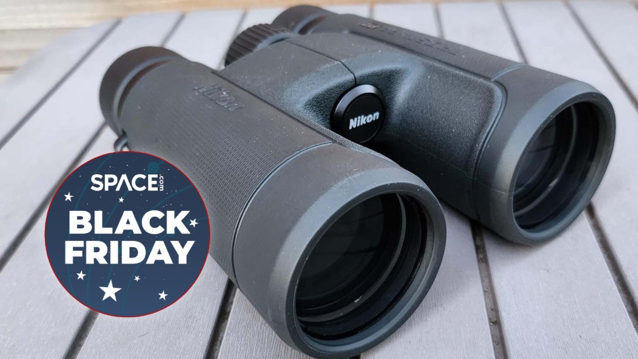 Save 23% on the excellent Nikon Prostaff P7 8x42 binoculars this Black Friday