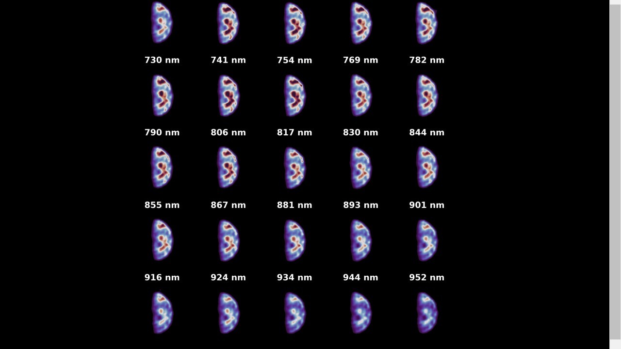 Earth sure looks spooky in these 'hyperspectral' images from Europe's Hera asteroid probe