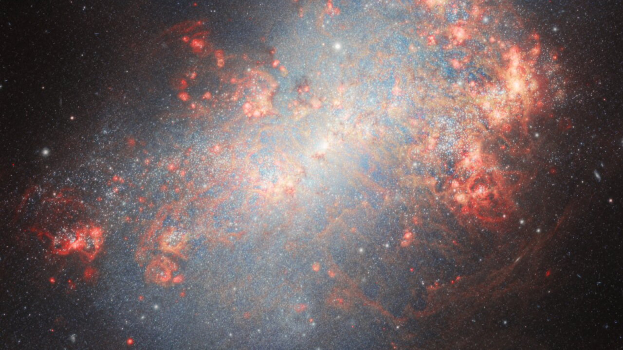 See a starburst galaxy, ablaze with explosive star birth, devouring dwarf galaxies (video)