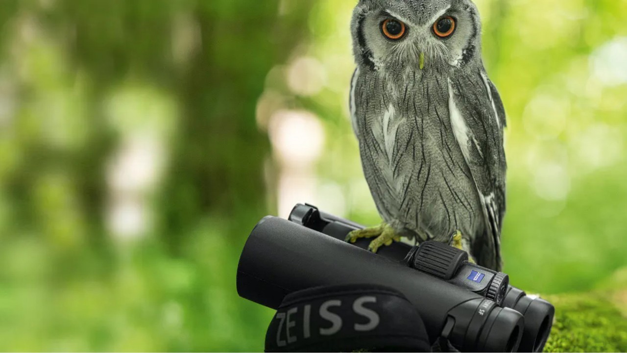 Black Friday Zeiss binoculars deals: Discounts on top-rated models