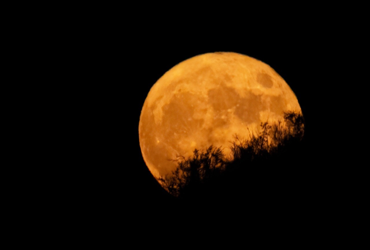 How frequent is the full Harvest Moon?