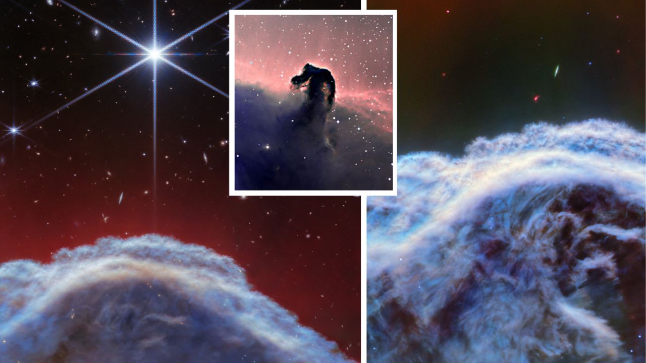 Horsehead Nebula rears its head in gorgeous new James Webb Space Telescope images (video)