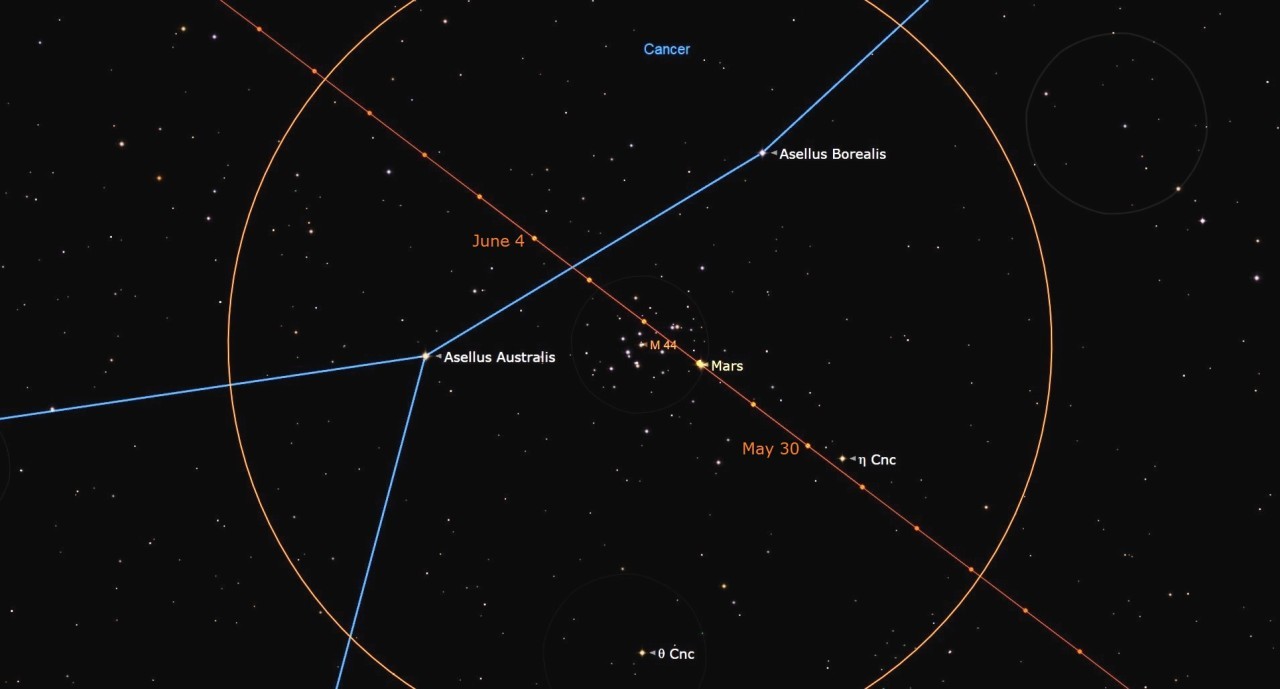 See Mars buzz the dense stars of the Beehive Cluster tonight