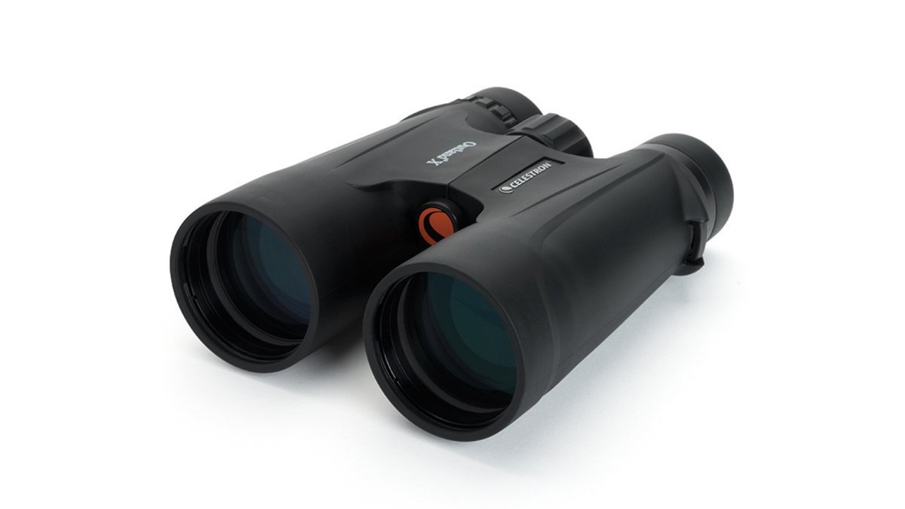 Early Black Friday deal: Save 43% on these stargazing binoculars from Celestron