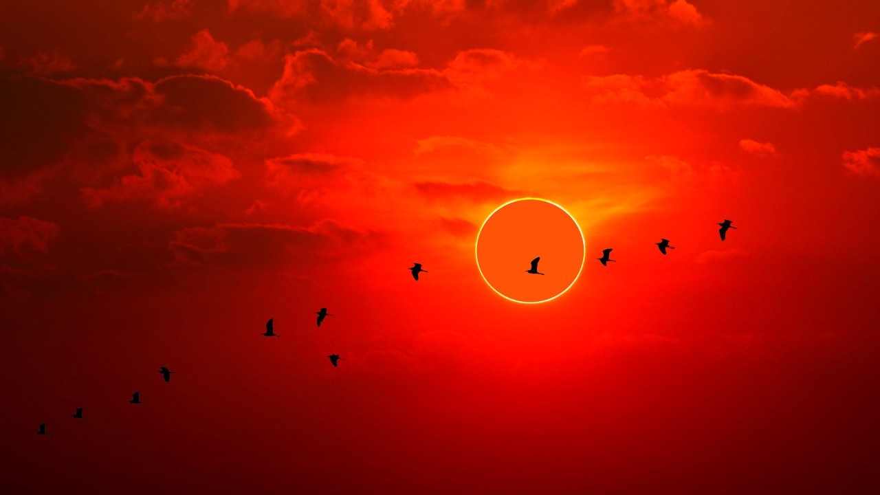 Annular solar eclipse will turn the sun into a spectacular 'ring of fire' this week