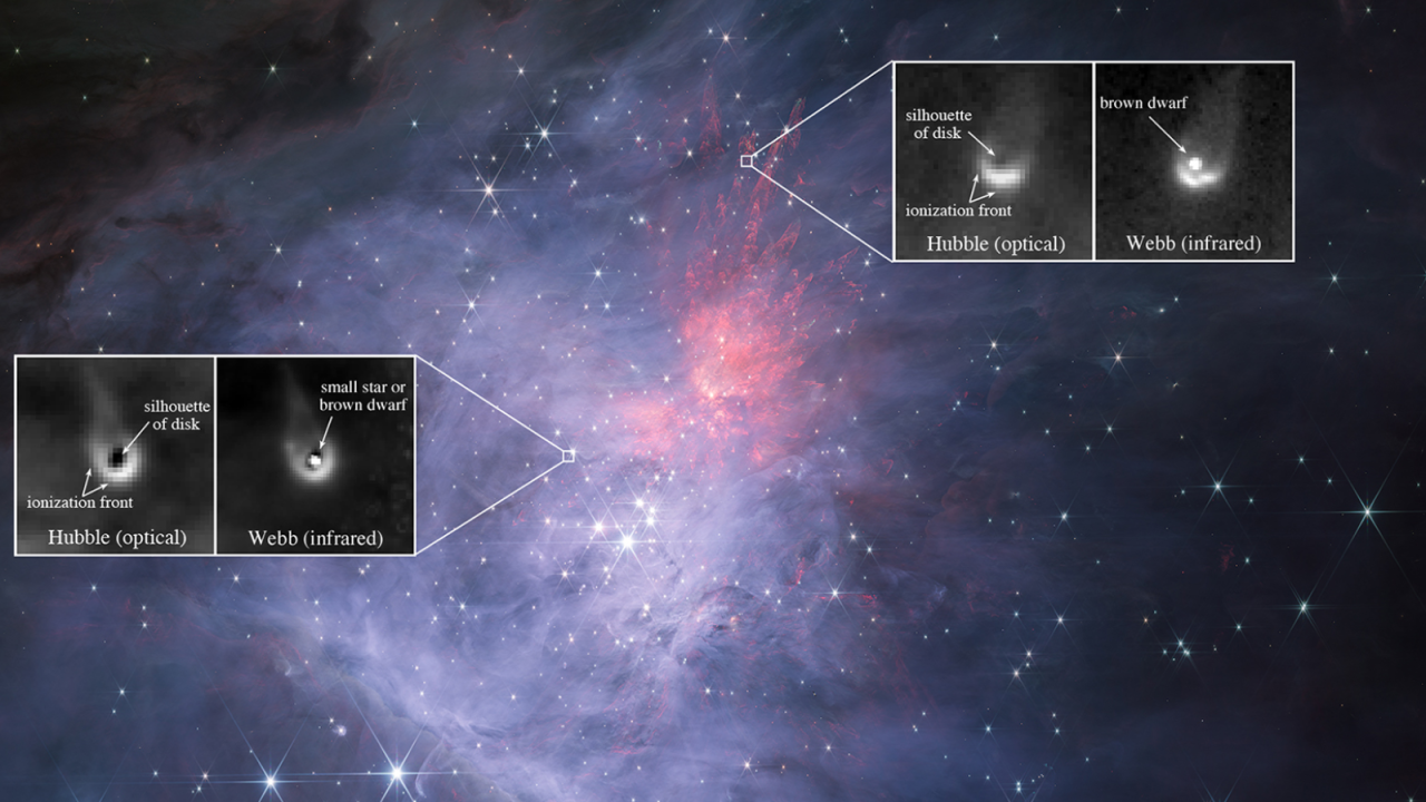 Can 'failed stars' have planets? James Webb Space Telescopes offers clues