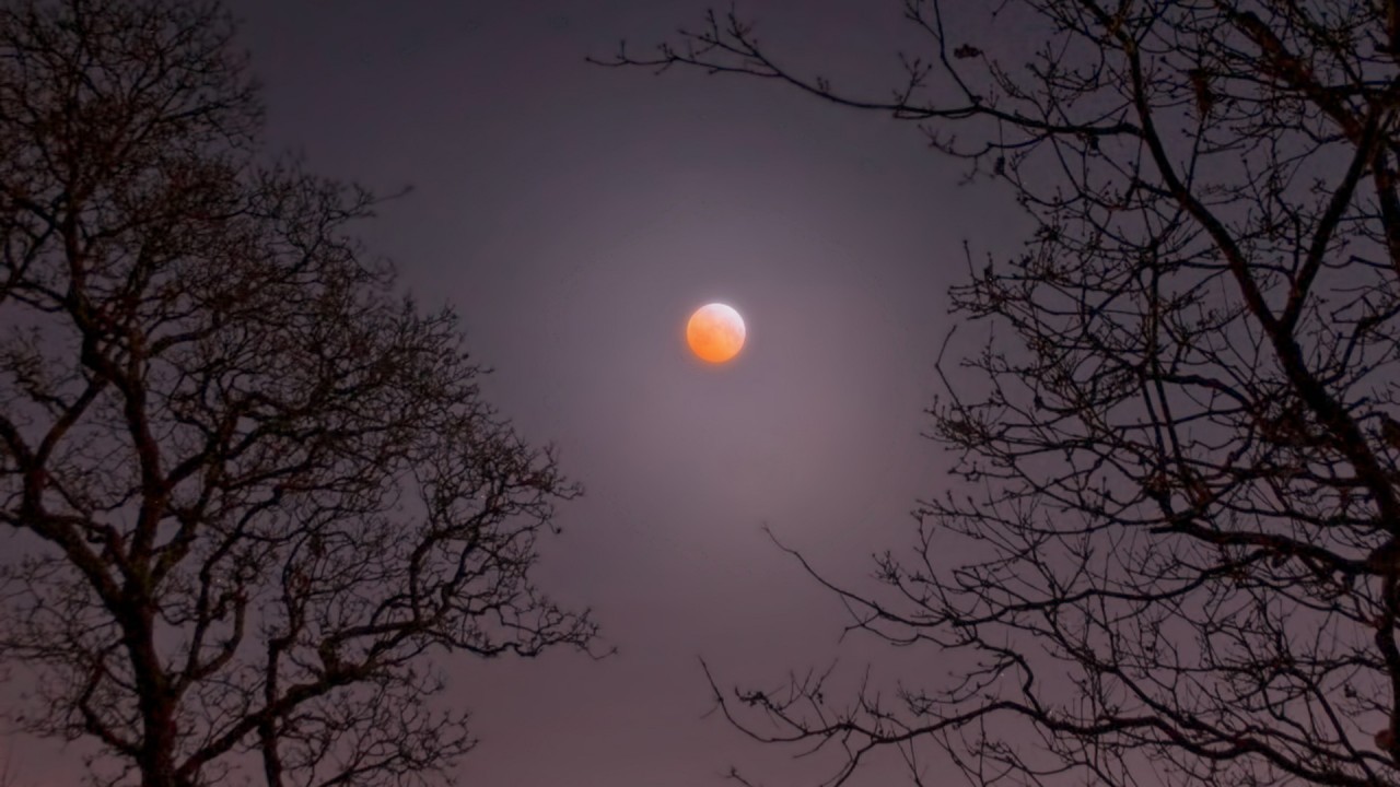 How to photograph the moon using a camera: techniques, kit, and settings