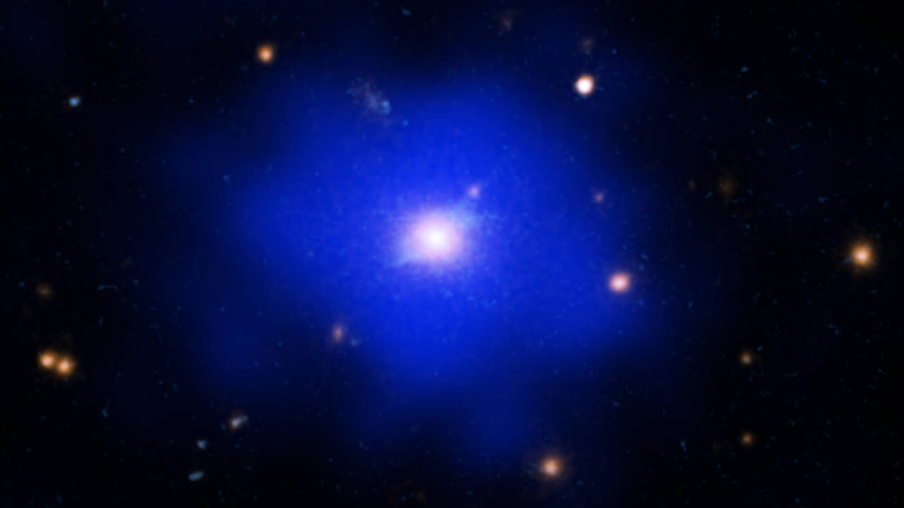 Unusual galaxy cluster is an island of tranquility in the chaotic early universe