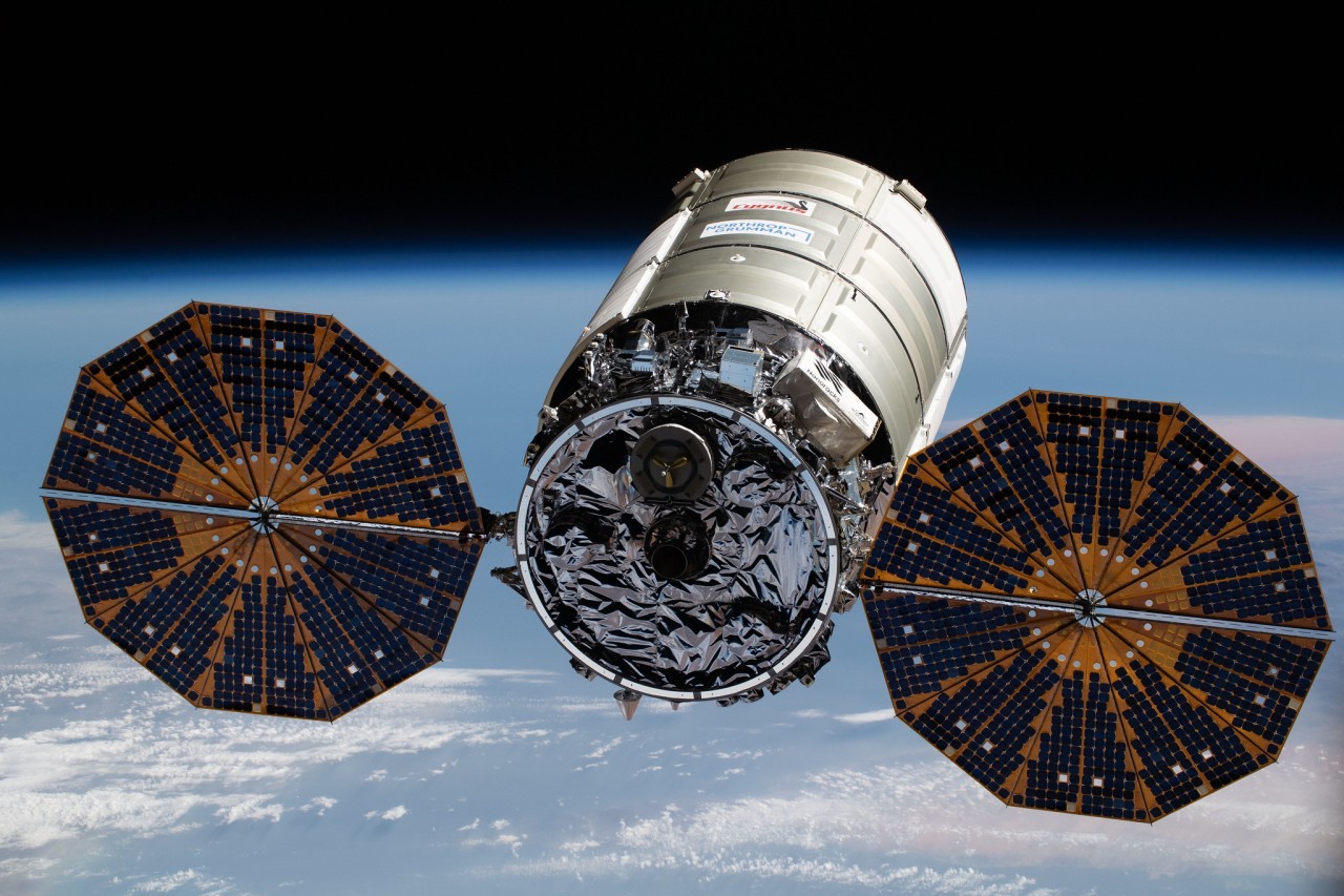 Watch ovarian cells and other wild experiments launch to space station on Sunday