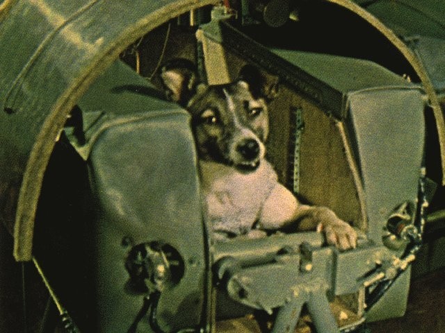 Laika the space dog: First living creature in orbit