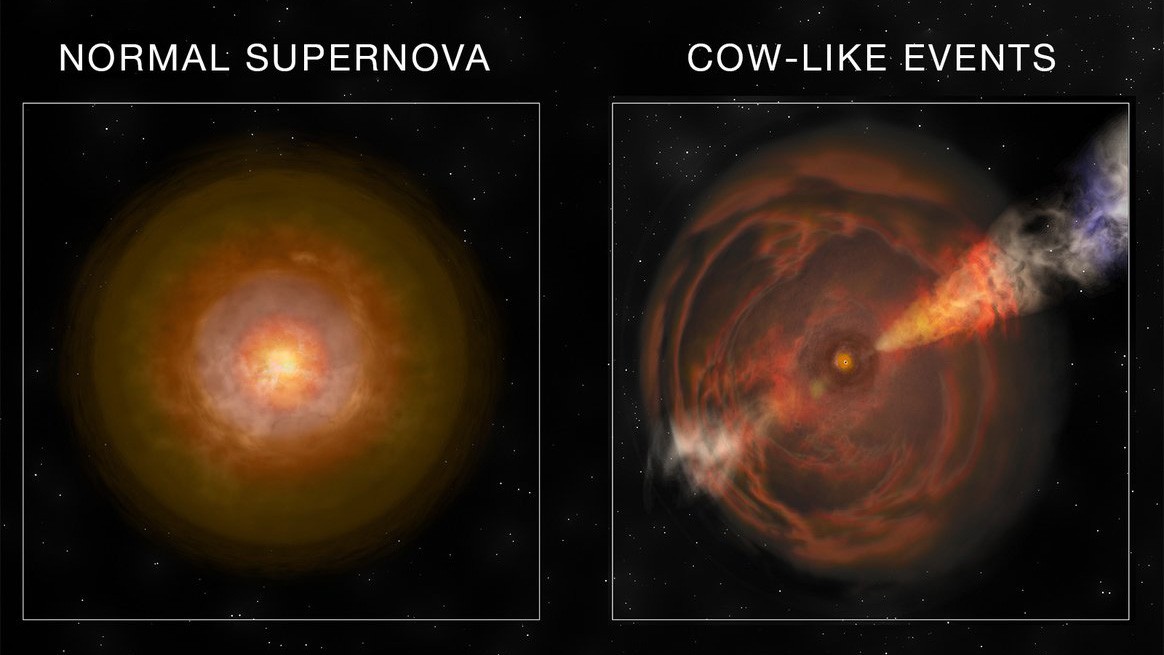 'Cow' supernova is brightest ever seen in X-ray observations