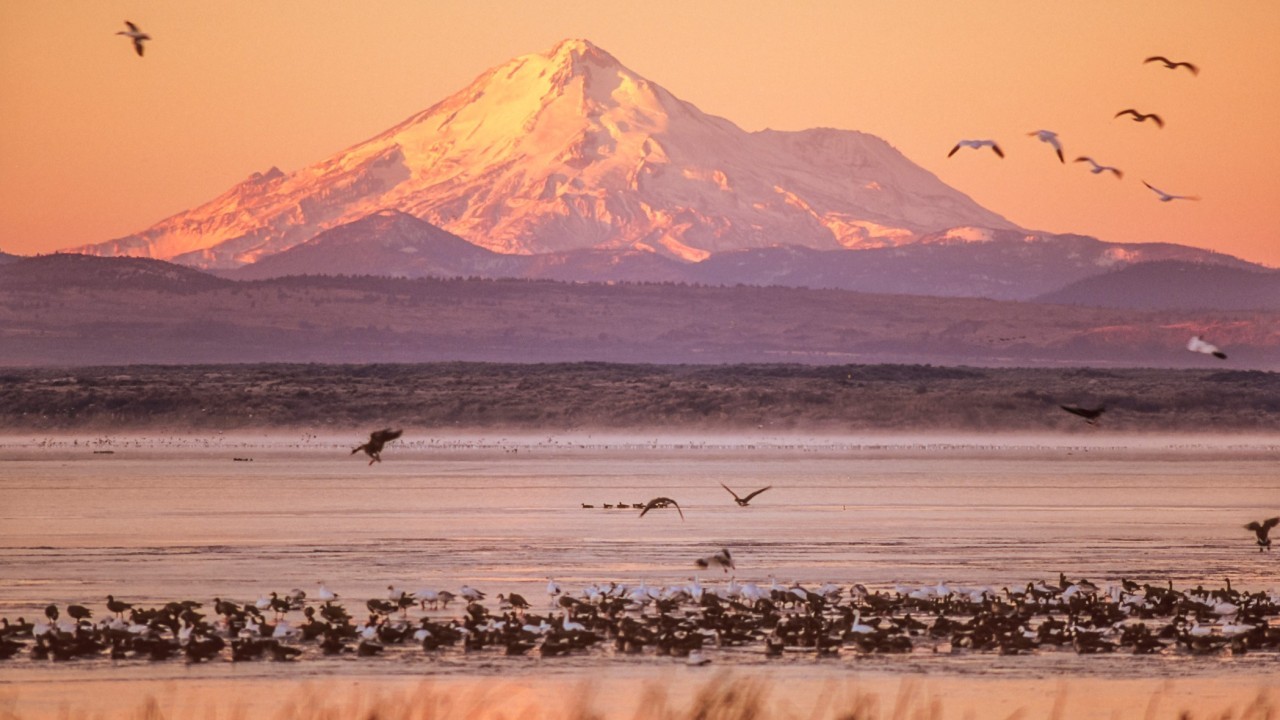 10 breathtaking locations to see October 2023's 'ring of fire' annular solar eclipse