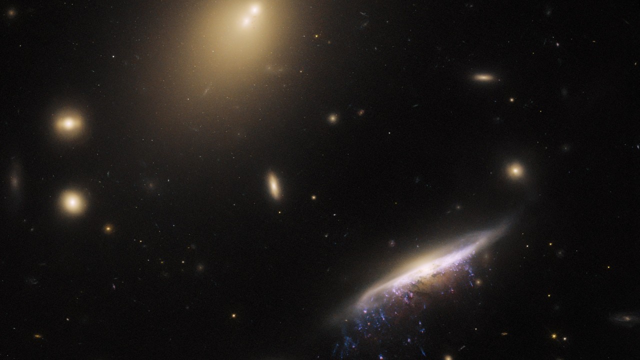 Hubble telescope captures galactic jellyfish with bright tendrils of star formation (photo)