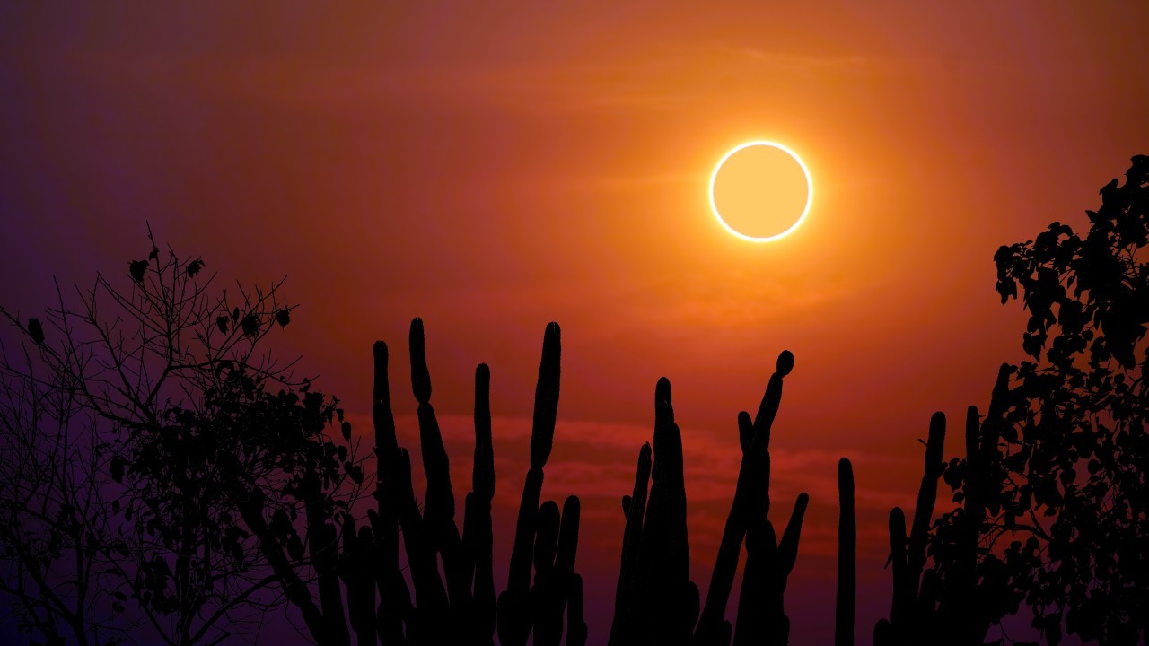 Annular solar eclipse 2023: How to watch Oct. 14 'ring of fire' in person and online