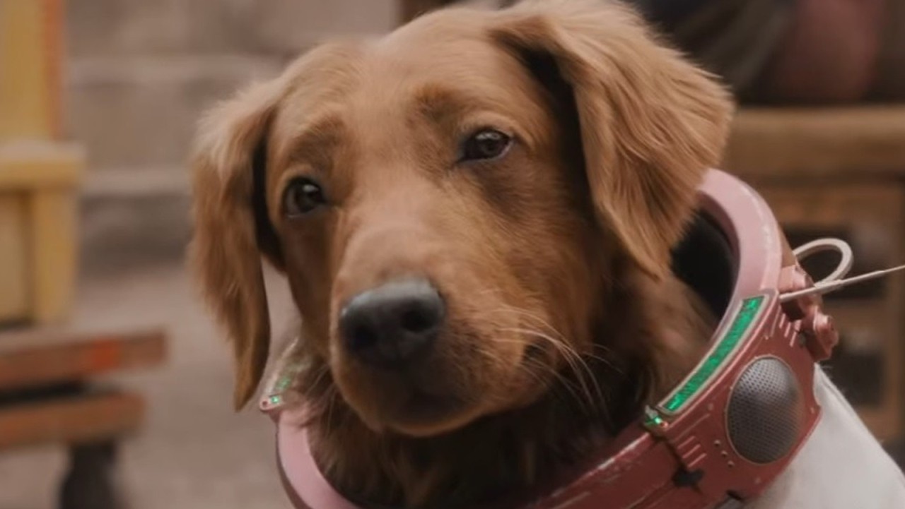 Who is Cosmo the Spacedog? All you need to know about 'Guardians of the Galaxy Vol. 3's' telepathic pup