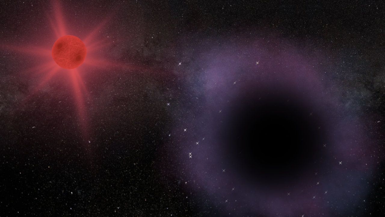 'Missing link' black hole lurks in strange binary system with red giant star