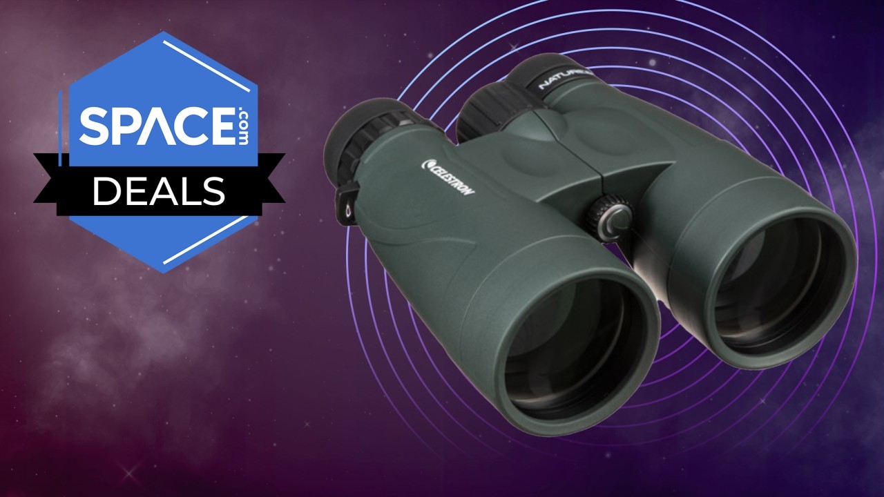 The affordable Celestron Nature DX 12x56 binoculars are now even better value with 32% off the regular price