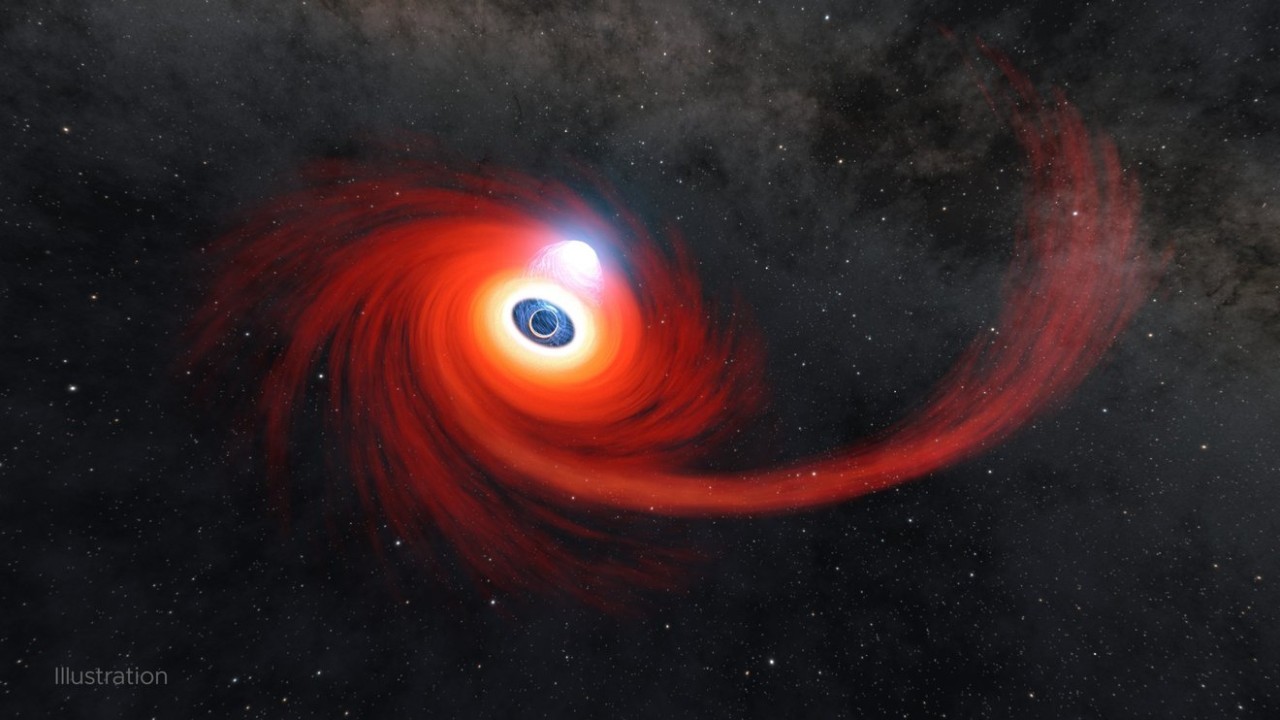 Remains of shredded star open new window on black hole feeding behavior