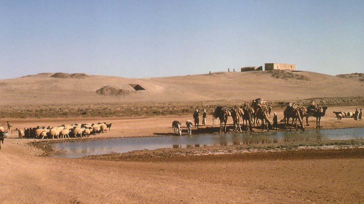 A comet explosion may have started agriculture in Syria 12,800 years ago