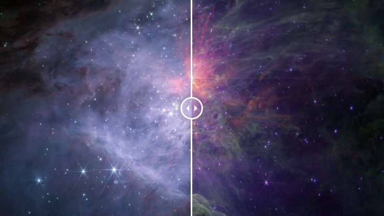 James Webb Space Telescope's stunning mosaic of Orion Nebula uncovers rogue planets