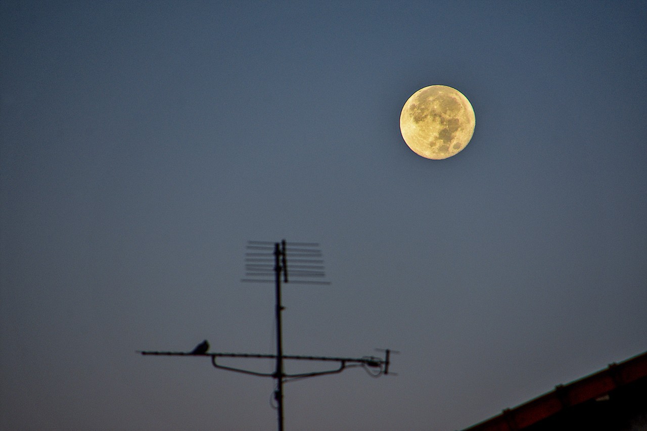 Harvest moon 2023, the last supermoon of the year, kicks off fall stargazing on Sept. 29