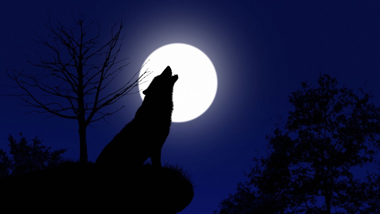 January full moon 2022: The 'Wolf Moon' rises with winter constellations