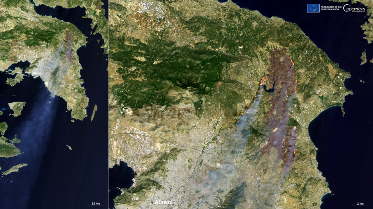 Wildfires in Greece have burned land twice the size of Manhattan, satellite images reveal