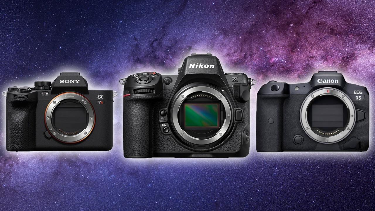 Nikon Z8 vs Sony A7R V vs Canon EOS R5: Which camera is better?