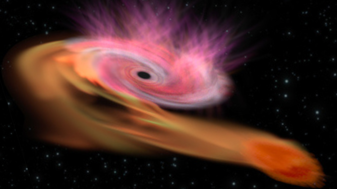 Massive star's gory 'death by black hole' is the biggest and brightest event of its kind